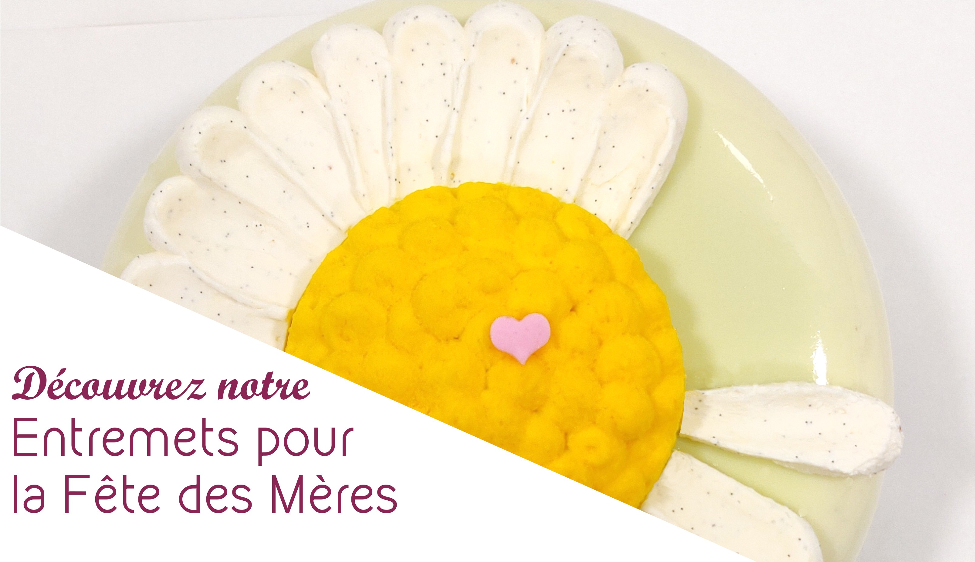 Ma pâquerette